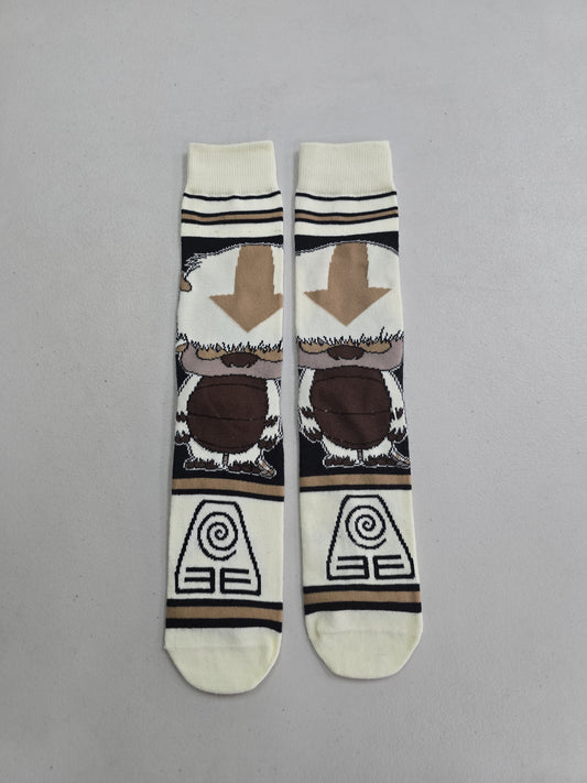 Calcetines Avatar Appa