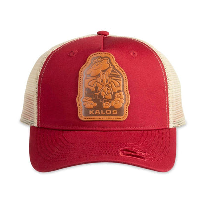 Gorra Pokemon Kalos